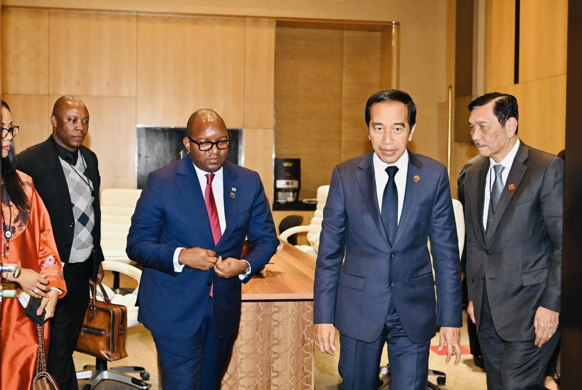 Forging Alliances: President Joko Widodo Meets with Congolese Prime Minister at BRICS Summit